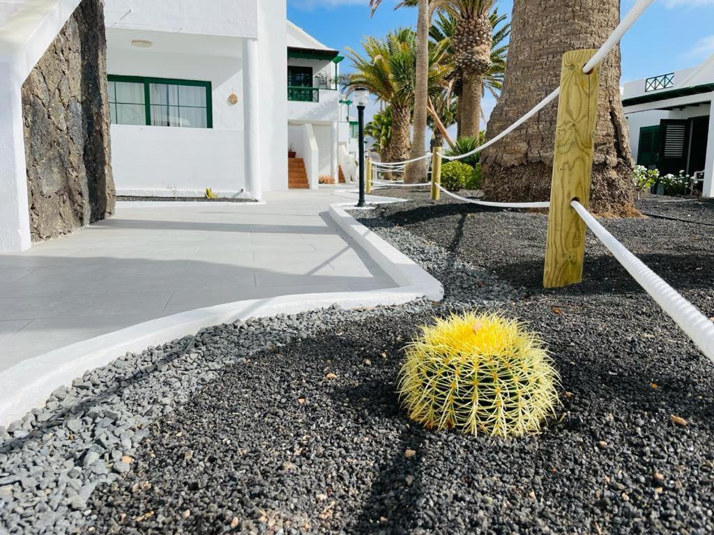 Casa Adelfa Apartamento Puerto del Carmen  Exterior foto